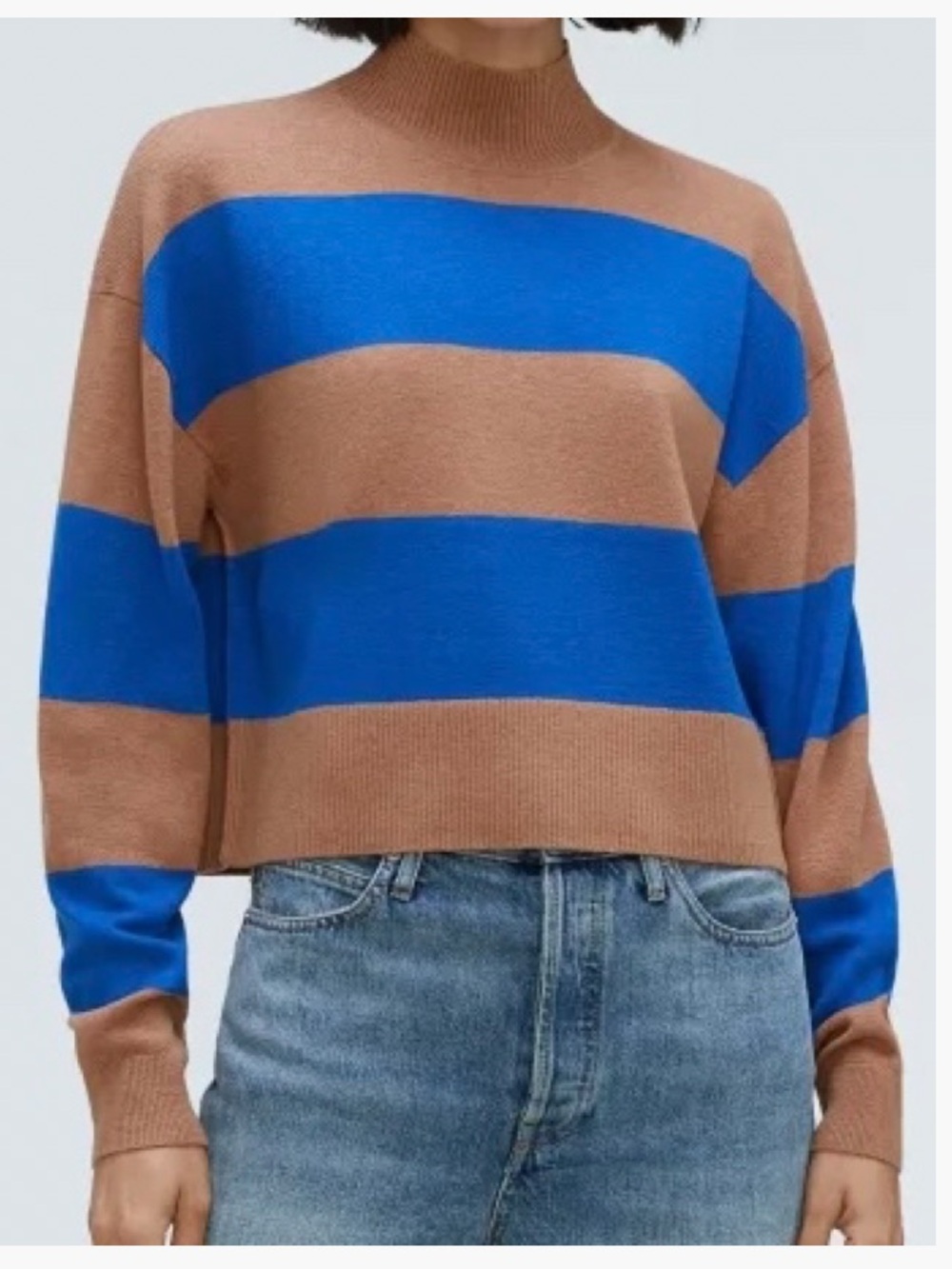 Everlane Yak Merino Wool Cropped Mockneck Sweater